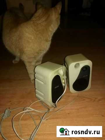 Колонки для компьютера бу Калининград - изображение 1