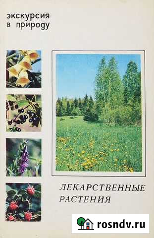 Открытки СССР Лекарственные травы 1980 год Новокузнецк - изображение 1