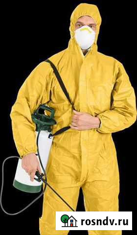 Уничтожение насекомых и грызунов Ростов-на-Дону - изображение 1