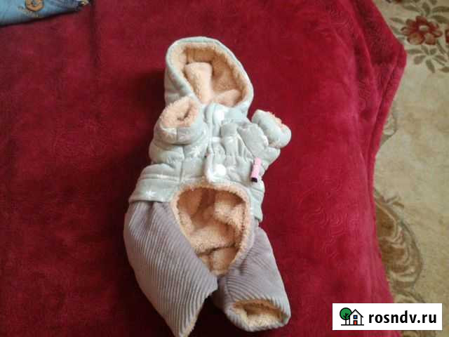 Комбинезон утеплённый для мини пород Волгодонск - изображение 1