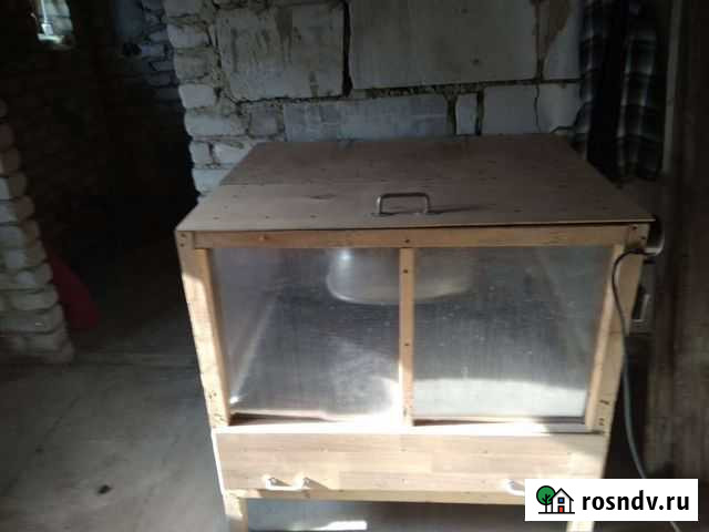 Брудер для цыплят Острогожск - изображение 1