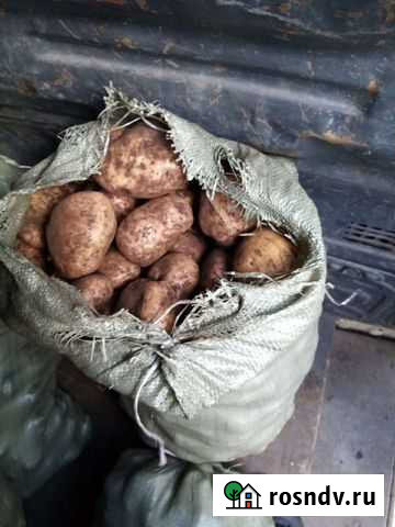 Продам картофель с доставкой Великий Новгород - изображение 1