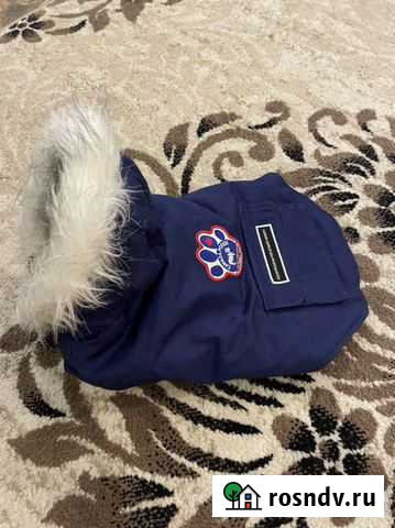 Комбинезон на собаку Старая Купавна - изображение 1
