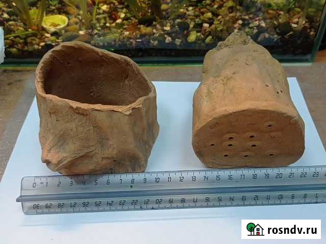 Для аквариума Барнаул - изображение 1