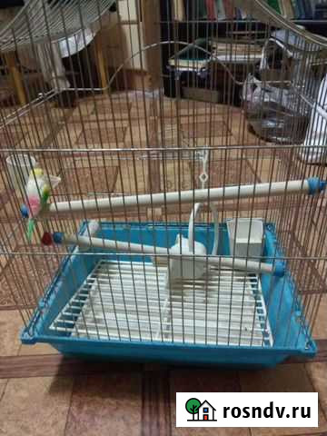 Клетка для попугая Саранск - изображение 1