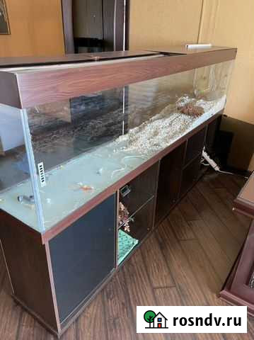 Аквариум Кемерово - изображение 1