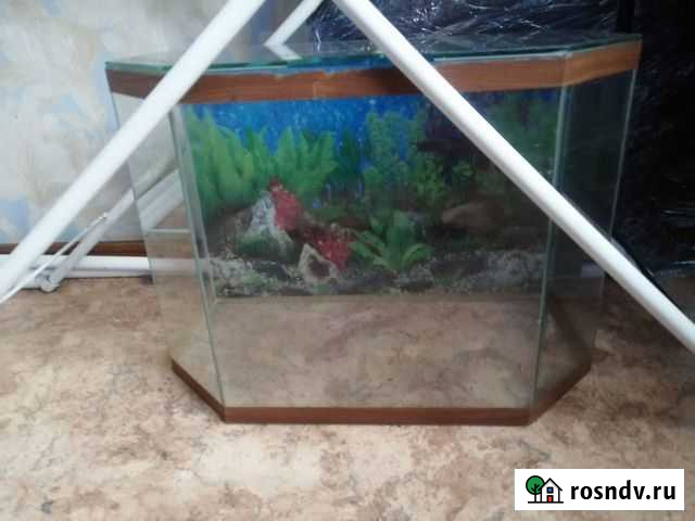 Аквариум Черемхово - изображение 1