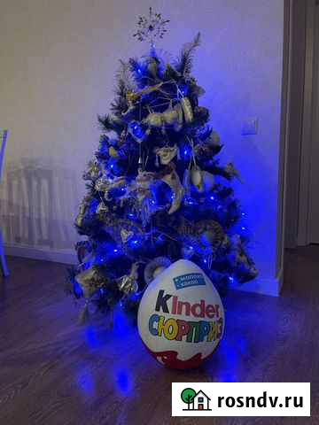 Киндер-сюрприз Сочи - изображение 1