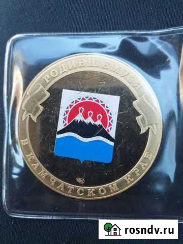 Медаль настольная Петропавловск-Камчатский - изображение 1