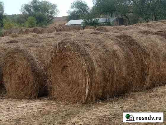 Продам сено Целинное