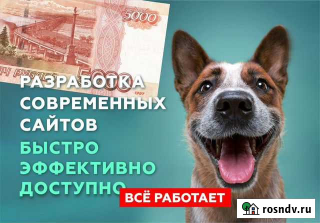 Сайт «под ключ» за день Выкса - изображение 1