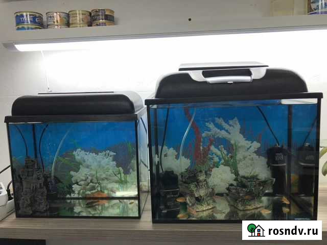 Аквариум 20 литров и 35 литров Обнинск - изображение 1