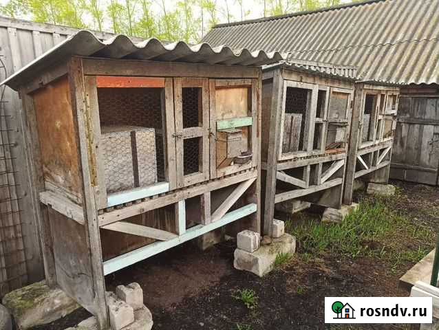 Клетка для кроликов Назарово - изображение 1