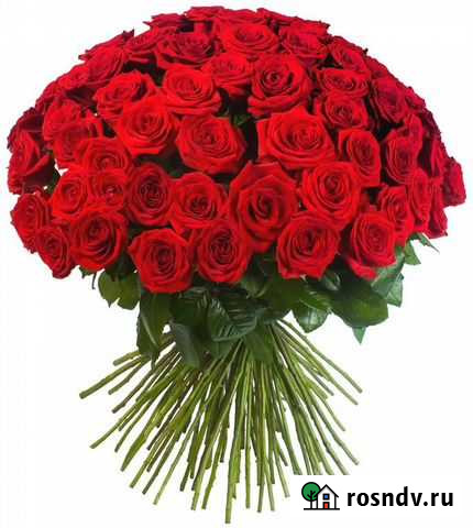 101 красная роза короткие Москва - изображение 1