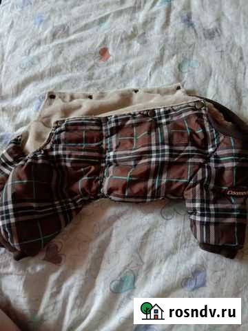 Одежда для собак Чехов - изображение 1