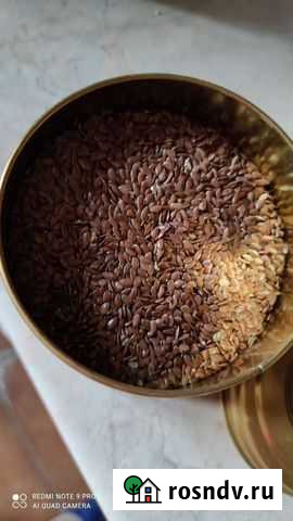 Семена льна Реутов - изображение 1