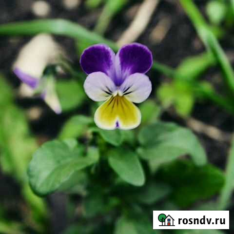 Разработка экологической документации Уфа - изображение 1