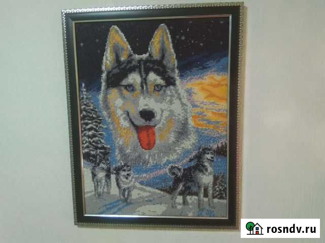 Продаю картину алмазная мозаика Верный хаски Ахтубинск - изображение 1
