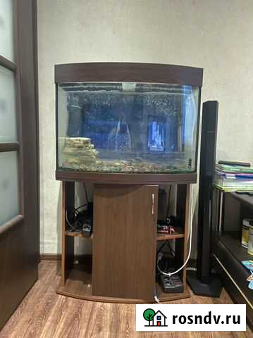 Аквариум Старый Городок - изображение 1