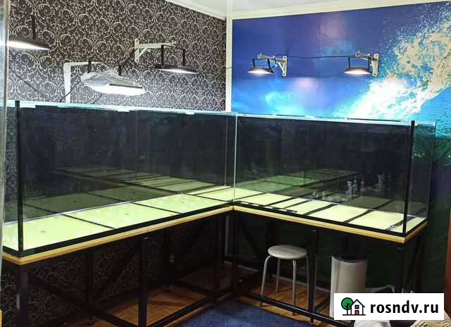 Аквариумы большие и маленькие Тольятти - изображение 1