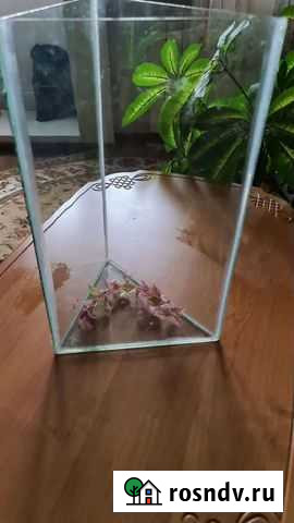 Аквариум Новокузнецк - изображение 1