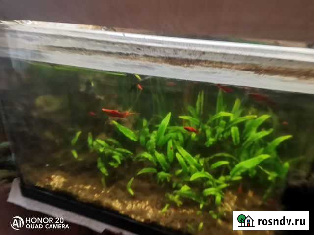 Аквариум Тула - изображение 1