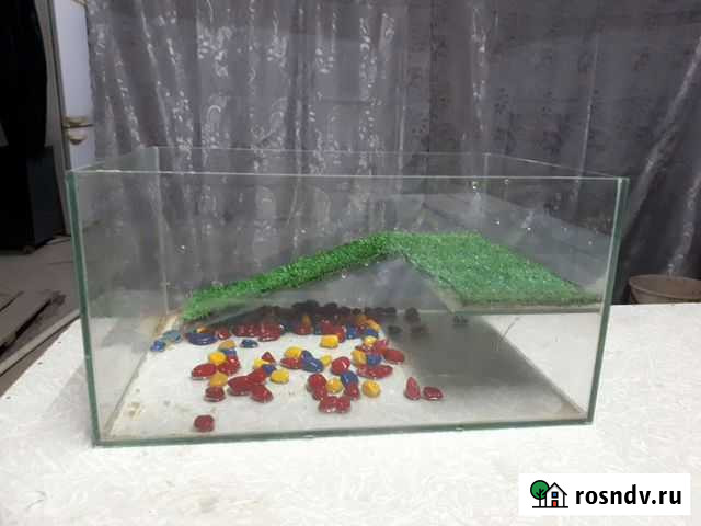 Аквариум Волгоград - изображение 1