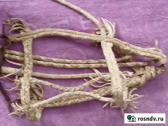 Уздечку Соколово - изображение 1