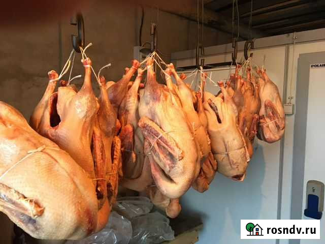 Гуси фермерские свежезамороженные Стерлитамак - изображение 1