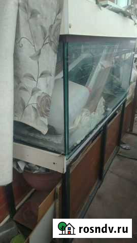 Аквариум Грозный - изображение 1