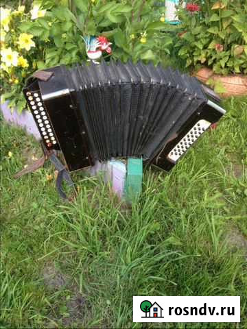 Вологодская гармошка Вологда - изображение 1