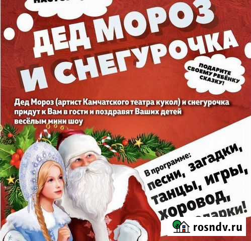 Дед Мороз и Снегурочка Елизово - изображение 1