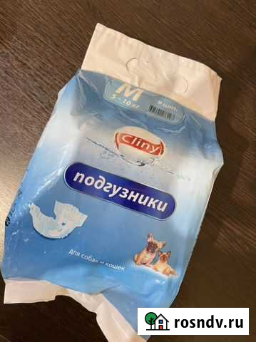 Подгузники для собак Братск - изображение 1