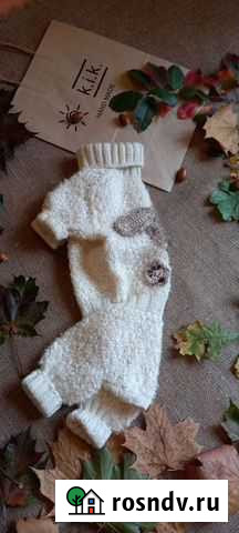 Комбинезончик для собаки Мурино - изображение 1