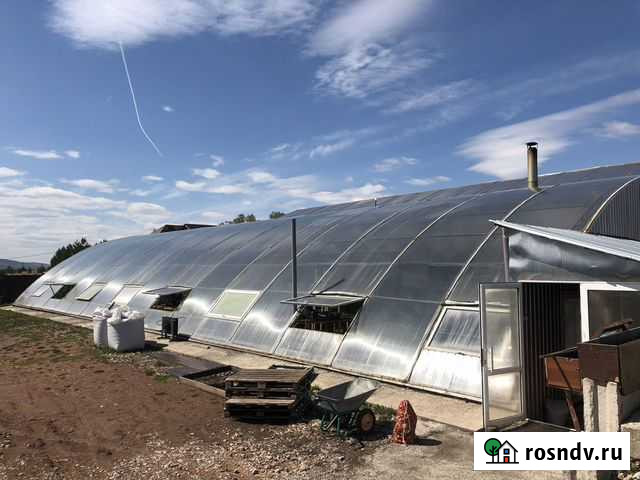 Тепличный бизнес Красноярск - изображение 1
