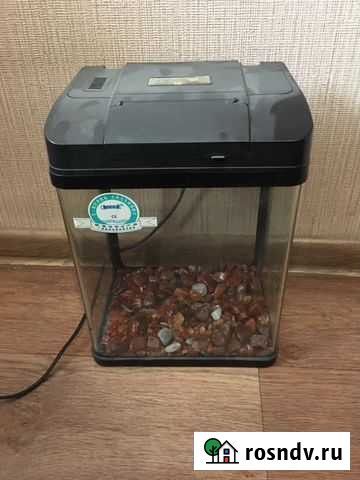 Аквариум Курумкан - изображение 1