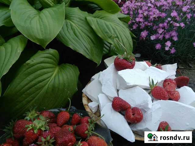 Мел для еды Белгород - изображение 1