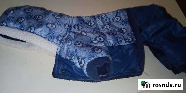 Дождевик для маленькой собаки Донецк - изображение 1