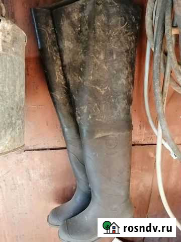 Сапоги рыбацкие Красноуфимск - изображение 1