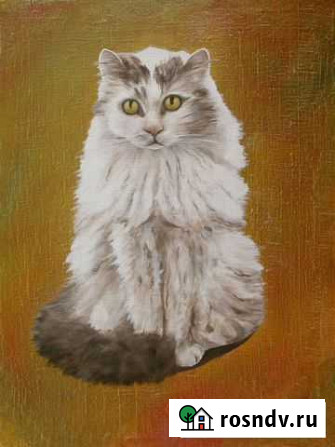 Любимый кот Тольятти - изображение 1