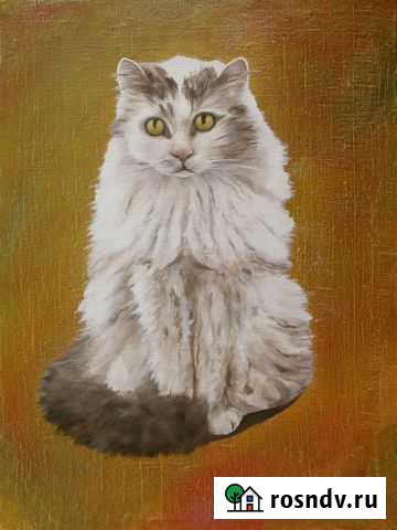 Любимый кот Тольятти - изображение 1