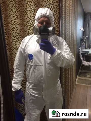 Обработка квартир от клопов и тараканов Екатеринбург - изображение 1