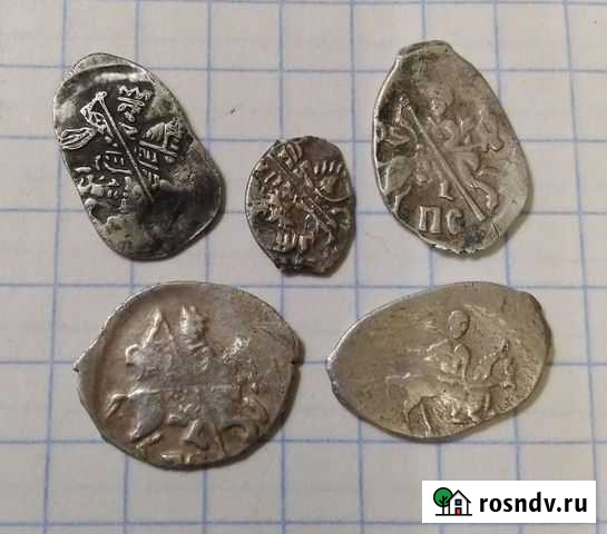 Чешуйки Серебряные Боровск - изображение 1