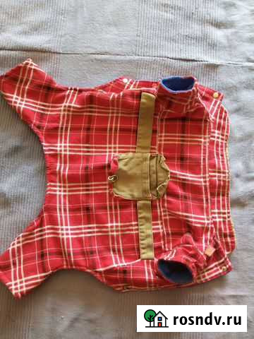 Костюм для собачки б/у Мытищи - изображение 1