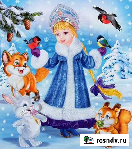 Снегурочка у телефона Уфа - изображение 1