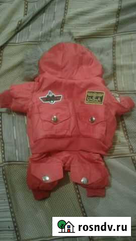 Куртка для собаки Гусь-Хрустальный - изображение 1