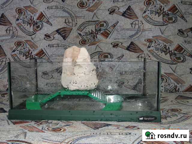 Аквариум Новокузнецк - изображение 1