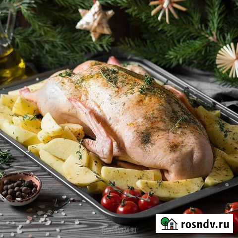 Мясо утки Димитровград - изображение 1