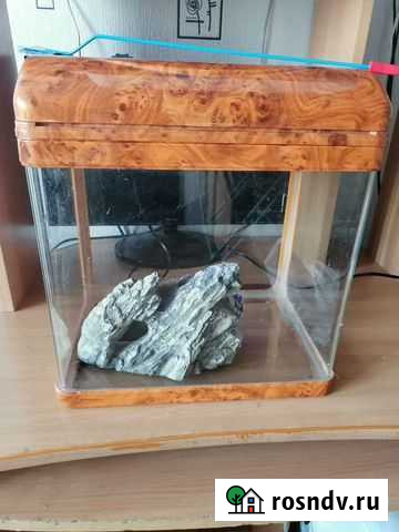 Аквариум Кемерово - изображение 1