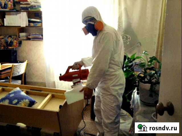 Уничтожение клопов, тараканов, мышей. Дезинфекция Кириши - изображение 1